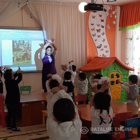 Жабайы аңдар еліне саяхат