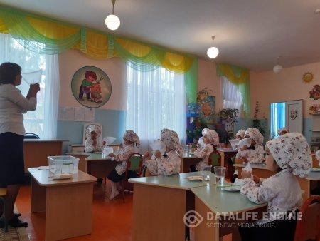 "Өлі және тірі табиғат" тақырыбында ашық ұйымдастырылған оқу қызметі
