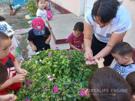 Ересек топ балаларының күзгі гүлге бақылау жасау сәті