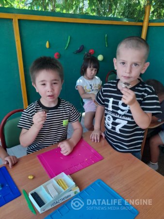 "Пайдалы және зиянды өсімдіктер"